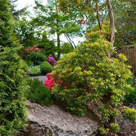 The Grove Guest house Killorglin