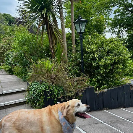 格罗夫小屋旅馆 招待所