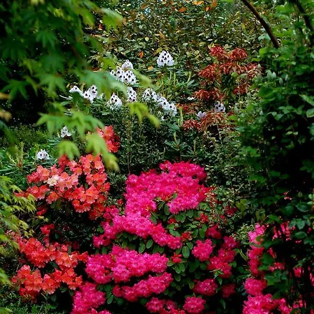 The Grove بيت ضيافة