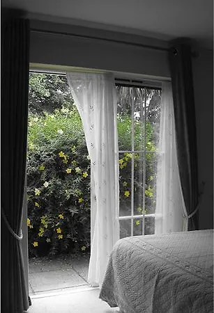 Pensjonat The Grove 4*