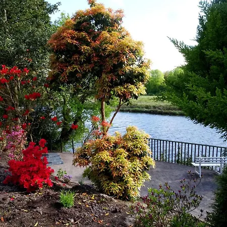 The Grove Guest house 4*