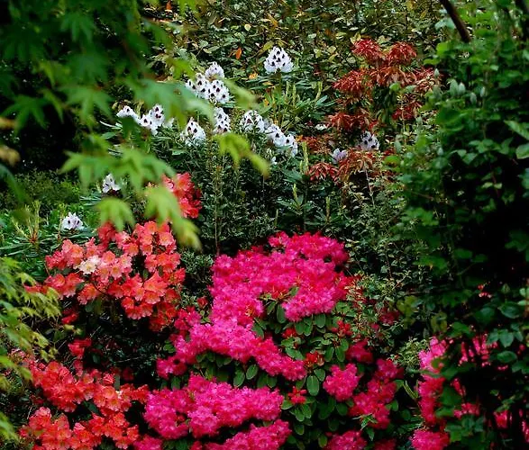 The Grove Гостевой дом